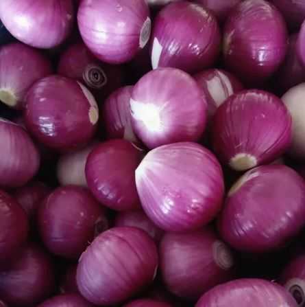 Onion Peeled