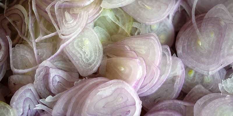 Shallots Sliced (5mm)