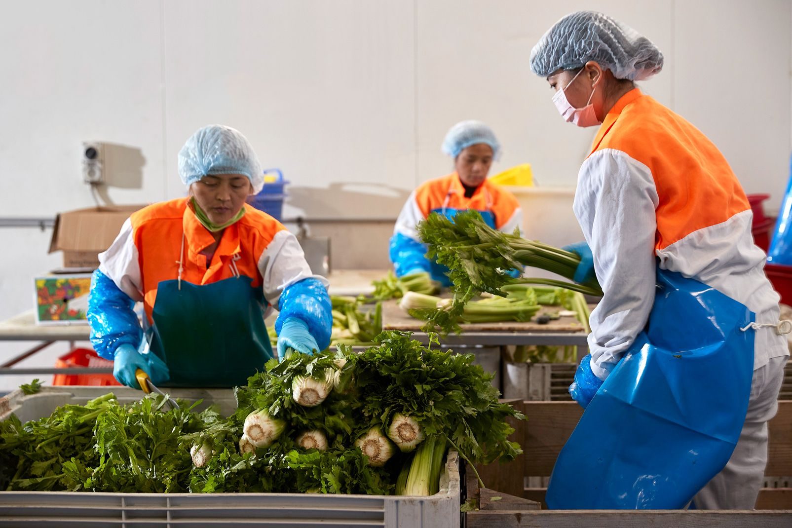 In-House vs Value-Added Processing