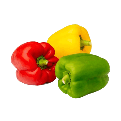 Capsicum