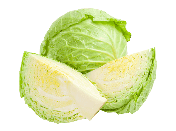 The Facts on Green Cabbage