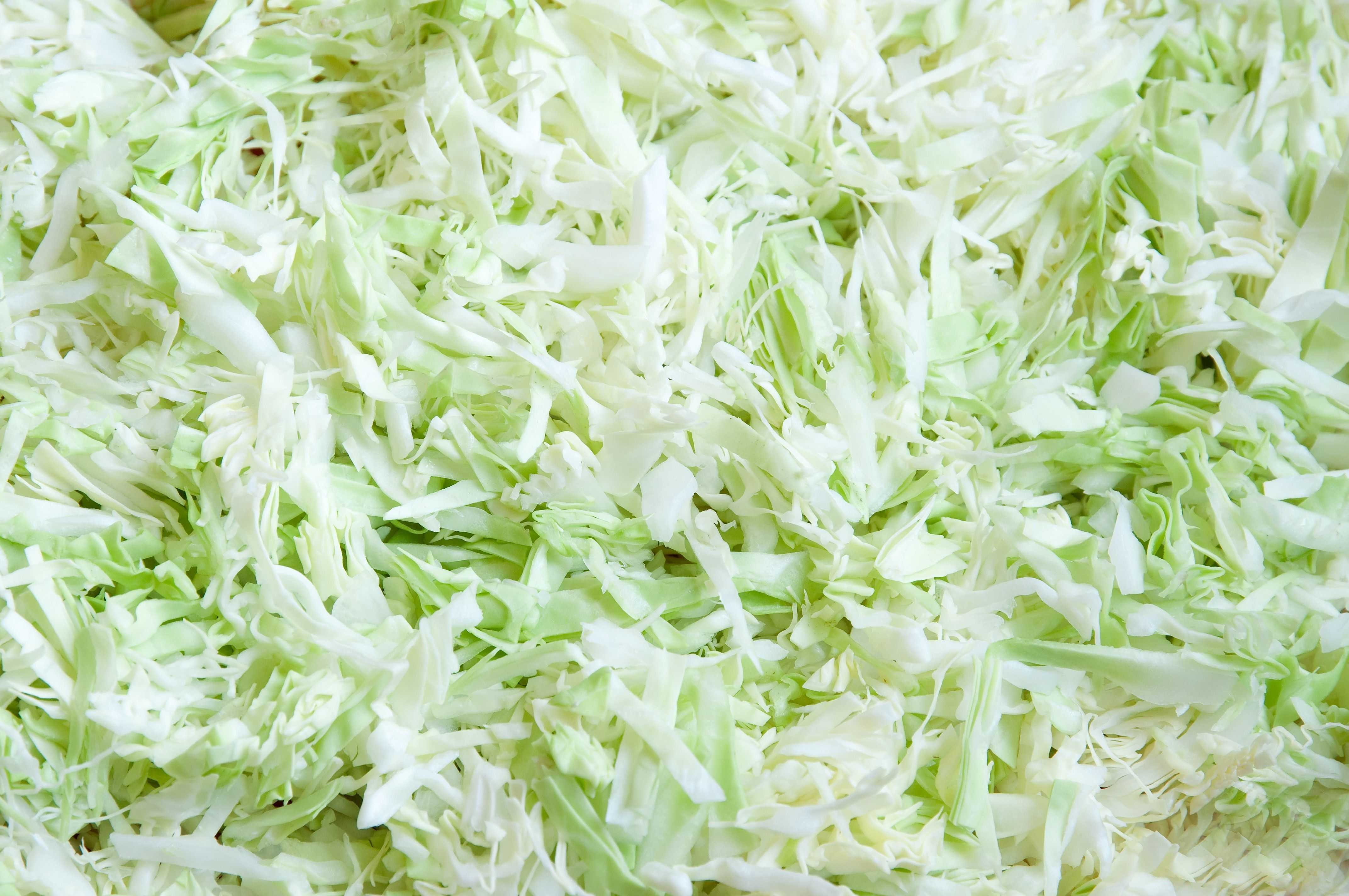 Cabbage Shredded 