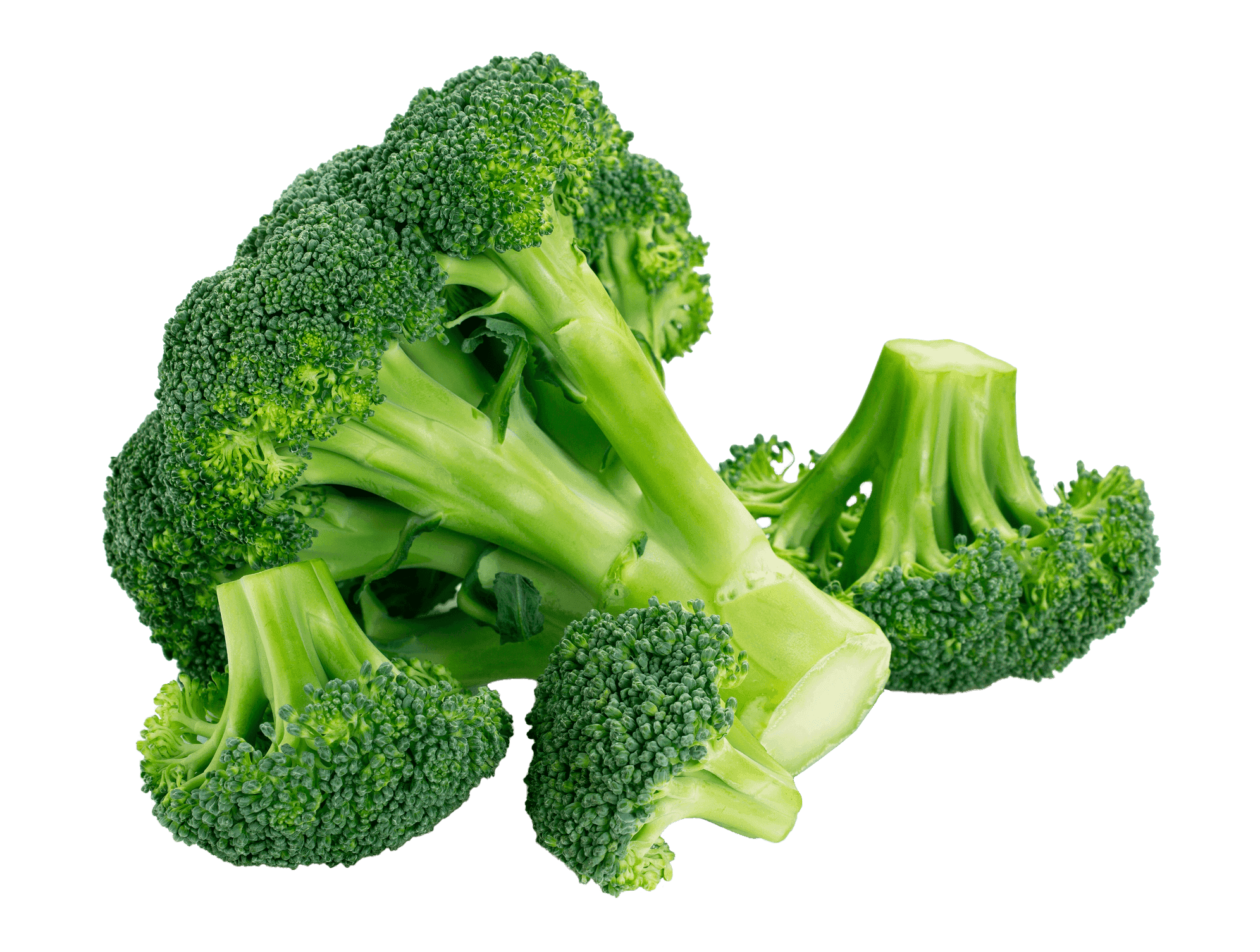 Broccoli