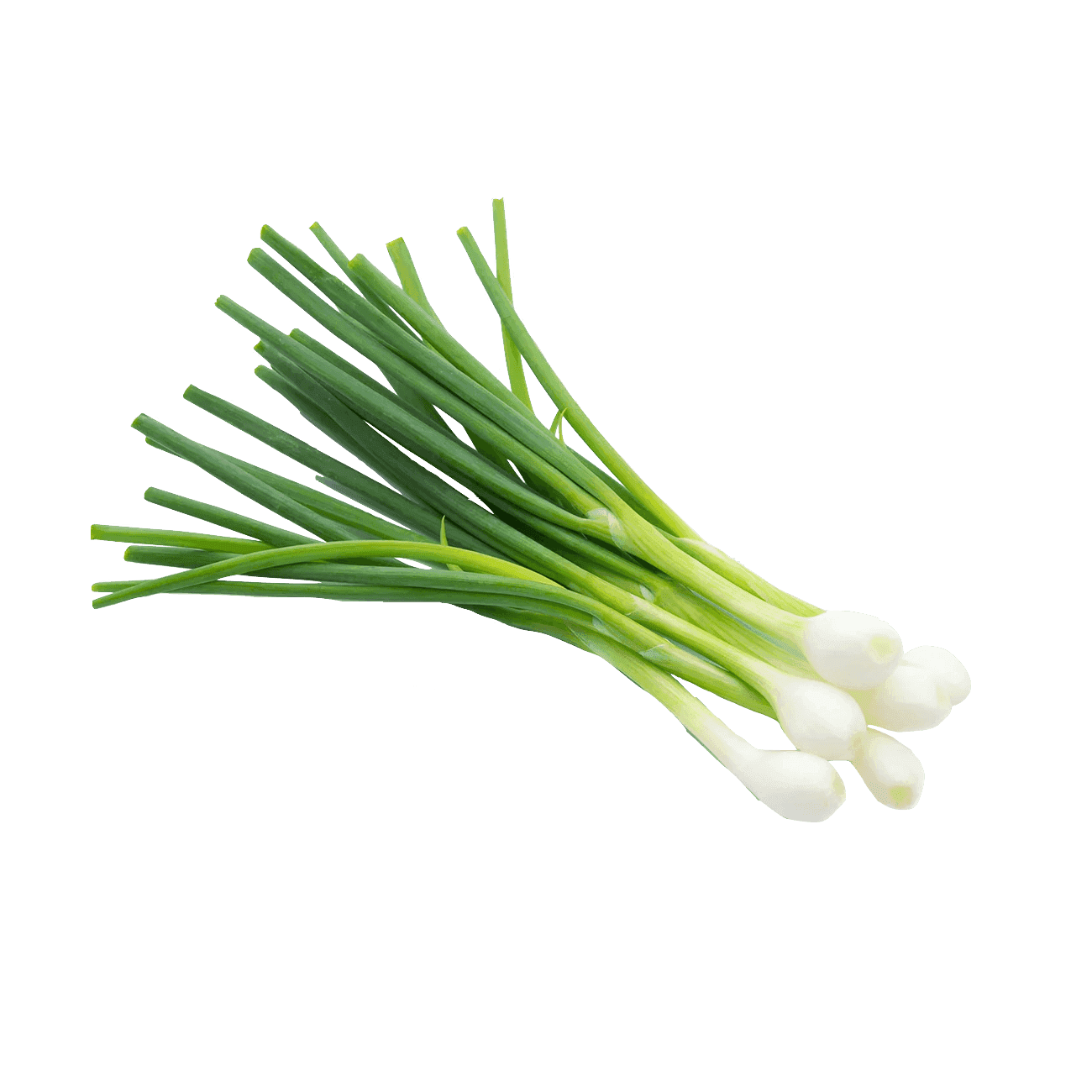 Spring Onion