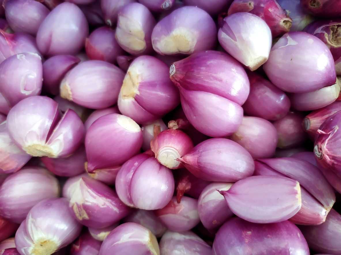 Shallots Peeled 